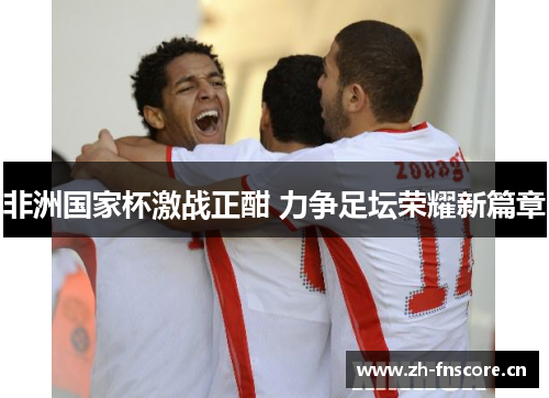 非洲国家杯激战正酣 力争足坛荣耀新篇章