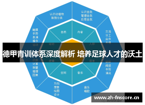德甲青训体系深度解析 培养足球人才的沃土